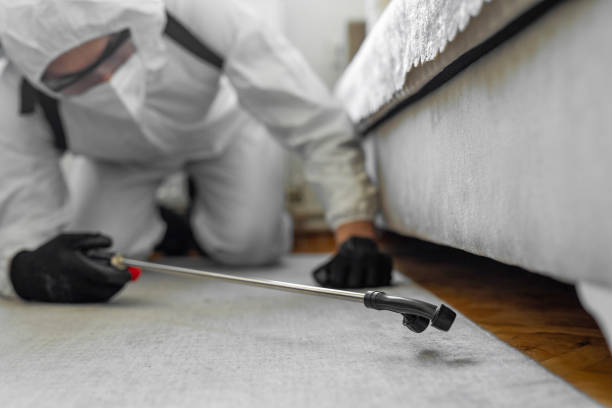Professional Mosquito Control technician working in Mannington, WV