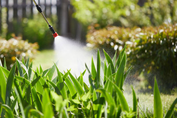 24/7 Emergency Mosquito Control experts in Mannington, WV