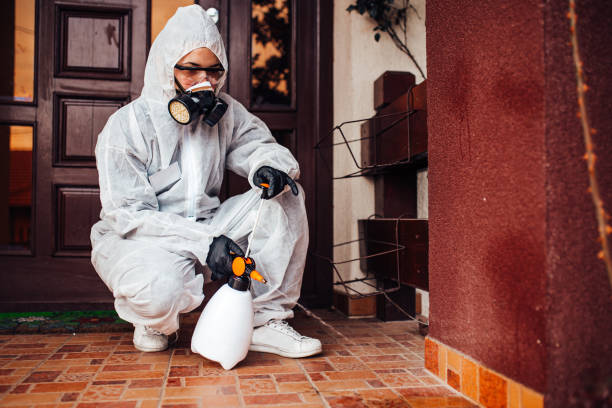 Reliable Mosquito Control contractor in Mannington, WV by Nex Pest Control
